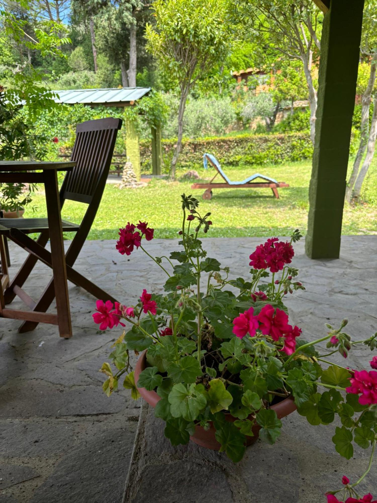 Casa Verde Country House モンテスクダイオ エクステリア 写真